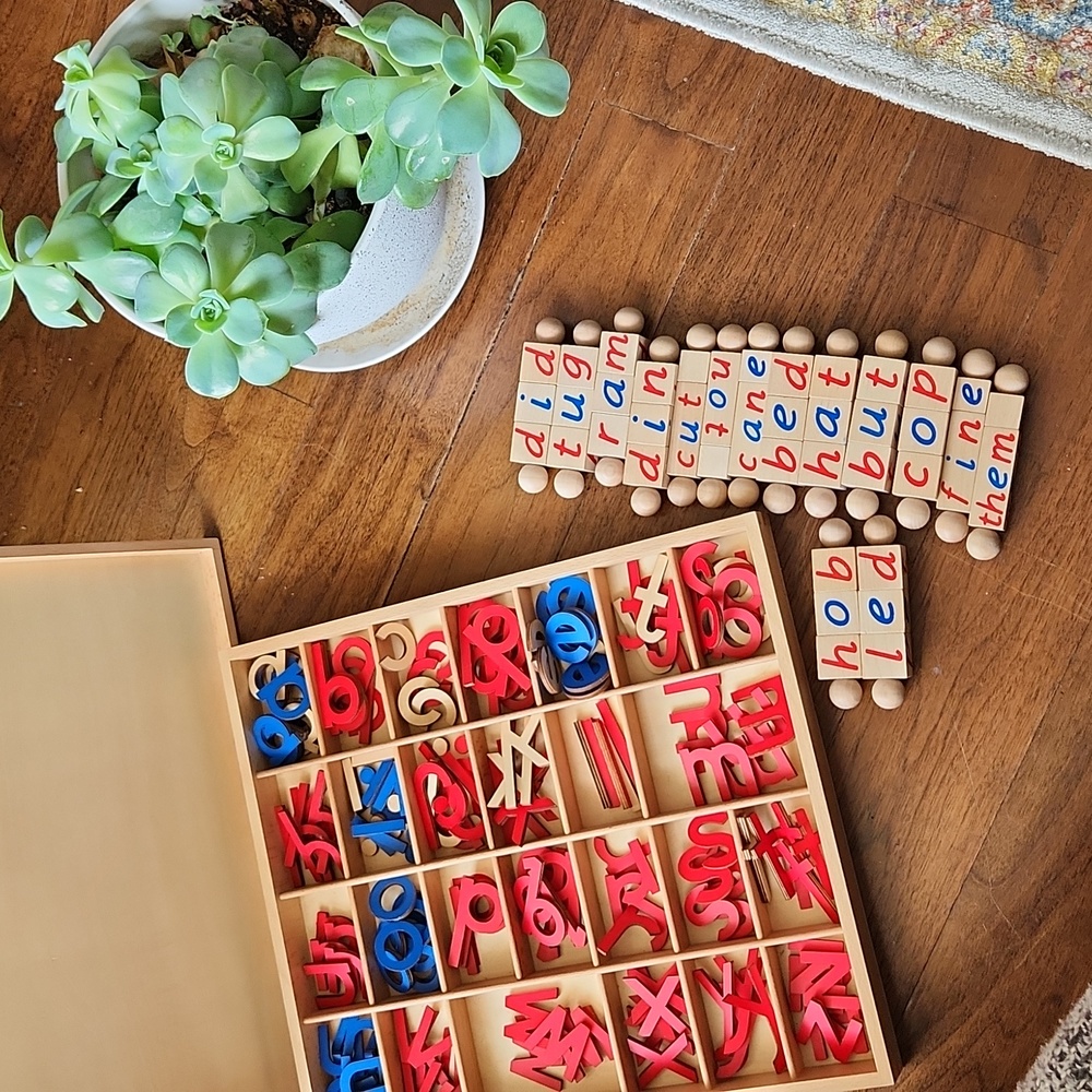 Montessori Alphabet movable wooden and word building blocks